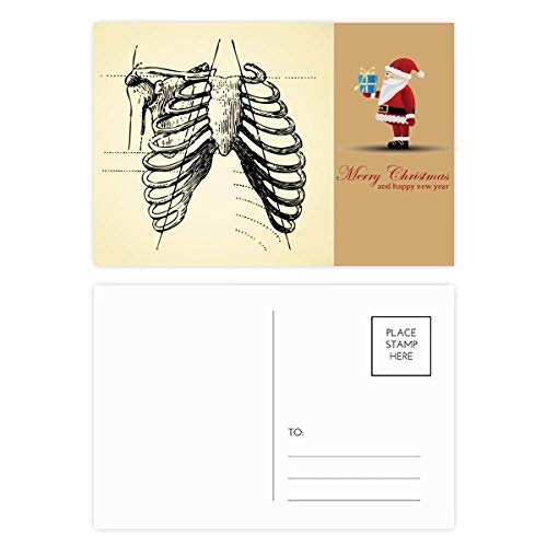 Cartes postales squelette de Noël en carton premium pour correspondance artistique de collection