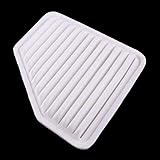 beler Engine Air Filter Fit for Scion xB tC Pontiac Vibe Lexus ES350L Toyota RAV4 Corolla Camry