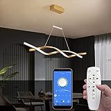 Modern led Chandelier Light,Creative Hanging Suspension Lamps for Ceiling of The Island, Table top,...