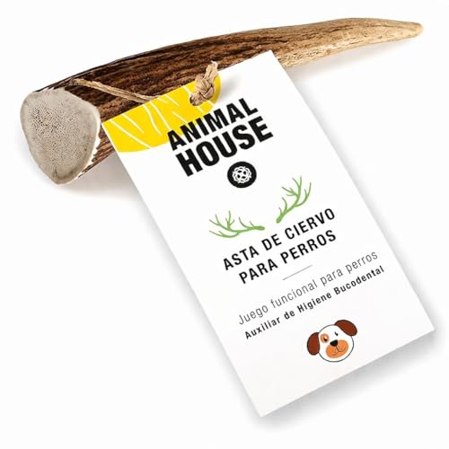 Animal House Cuerna de Ciervo 100% para Perros a Masticar, Juguete Hueso, Natural para Mantener los Dientes y Las encías sanos y limpios. para Todas Las Tallas (XS)