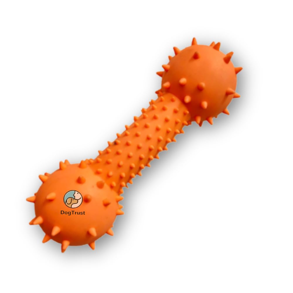 Dog Trust Dog Squeeze Squeaky Chew Toys Colorful Interactive Dog Toys Dotted Dumbbell Shaped Toy - 1 Pcs Pack (Color May Very). (B0CH9XS4SR) Amazon Price History, Amazon Price Tracker