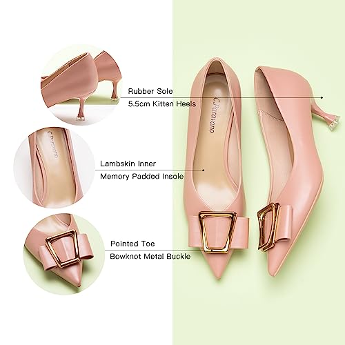 C.Paravano Elegant Kitten Heel Wedding Pumps | Pointed Toe & Buckle Design for Cocktail Parties & Spring Events | All-Day Comfort Leather | Perfect with Cocktail Dresses or Dress Pants(Pink,Size 11)4