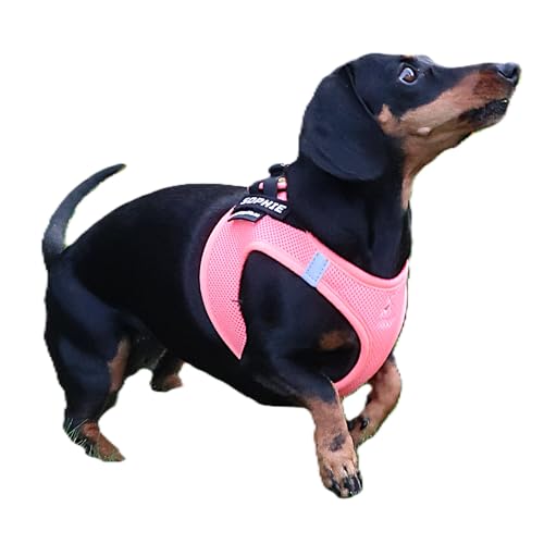 P24S personalisiertes Klett-Patch mit Wunschtext und Wunschfarbe – für Kleidung, Rucksäcke, Hundegeschirr, Outdoor-aktivitäten – bestickter Rand (Schwarz, 100x25 mm)