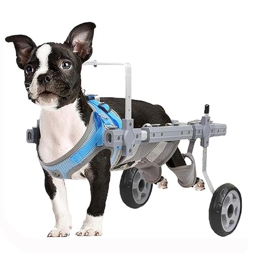 Carrito de movilidad para perros grandes y pequeños con ruedas de rehabilitación