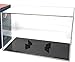 BallQube Grandstand Football Display Case for Memorabilia and Autographed Ball, Clear, Stackable Showcase Cube