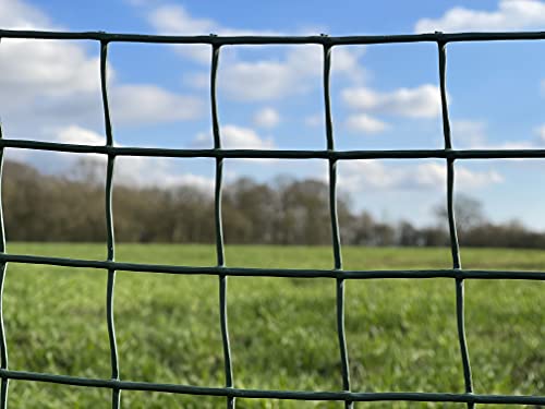 Suregreen Plastic Mesh Fencing | 1m x 5m | 50mm Holes | Green Garden Trellis | Plastic Garden Fencing | Pond Netting, Plant Support, Netting Mesh, Trellis for Climbing Plants