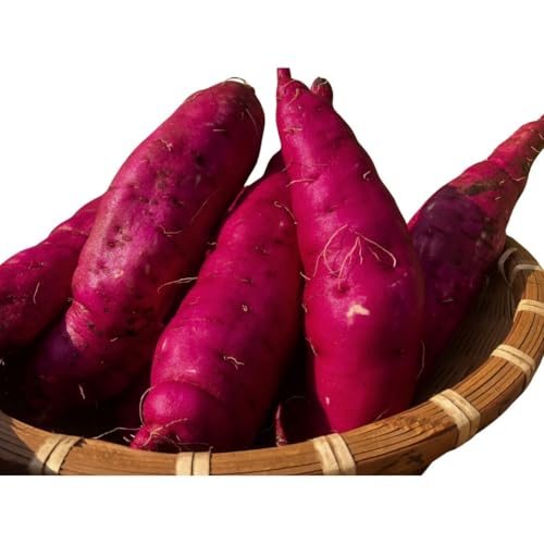 Vg͂邩 tY ЂƌłقƂAzNzNHƎR̂₳Â FmȂ{̐H (4.5kg)