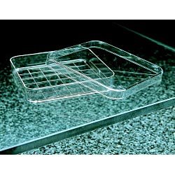 SIMPORT Petri Dish