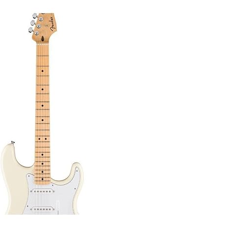 Amazon.com: Fender Standard Stratocaster Electric Guitar - Olympic