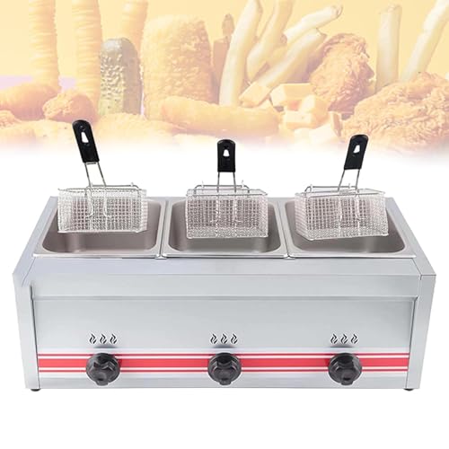 Friteuse professionnelle gaz propane 20l restaurant double panier inox