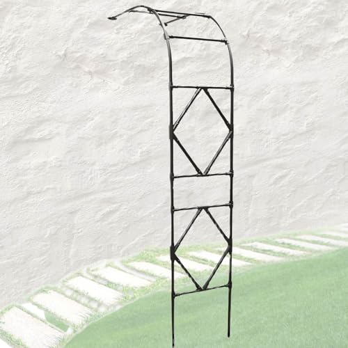 Generico Arco da Giardino Mezzo per Rampicanti, Arco per Rose da Parete Traliccio Metallo, 0.6-3.0m*2.4m Padiglioni Mezza Parete Laterale(Nero,W:2.0m x H:2.4m)