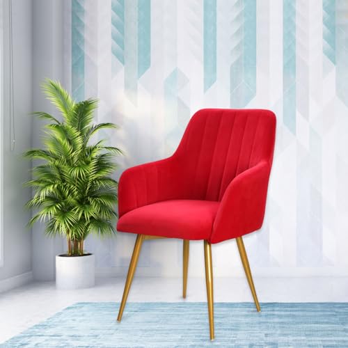 Image of Taboo Velvet Dining Chair Set of 2 | Upholstered Accent Arm Chairs | Soft Cushioned Seat with Backrest | Modern Velvet Fabric Chairs with Metal Legs | Living Room, Bedroom, Cafe & Restaurant | Red