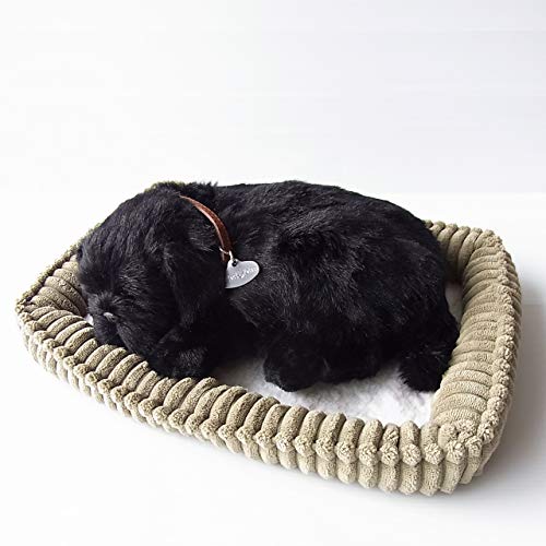 jjAhLm p[tFNgybg (TCY) pO () ʂ   Ck A {  G  Aj}   v[g Mtg j 킢 ̂ʂ