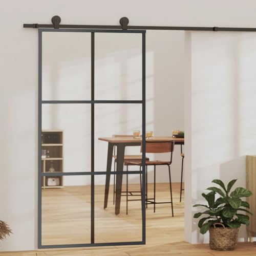 Fasba ESG - Puerta corredera de cristal con marco de aluminio, transparente y negro, 40,2 x 80,7 model3081948
