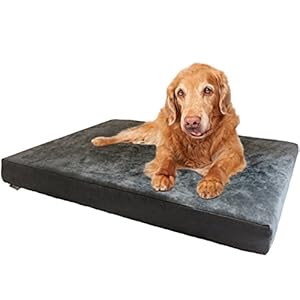 Dogbed4less XXL Orthopedic Gel Infused Cooling Memory Foam Dog Bed for Large Pet, Waterproof Liner, Micro Suede Gray Cover, 55X37X4 Inch