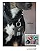Camino Halsbandtasche aus Leder für Hunde - Hundemarke, Steuermarke, Tassomarke, Einkaufschip | Ring Aufbewahrung | Viele Farbkombinationen möglich | Handmade by Manufactica®