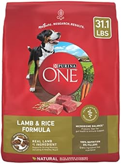 Purina ONE Dry Dog Food Lamb and Rice Formula - 31.1 lb. Bag