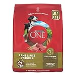 Purina ONE Dry Dog Food Lamb and Rice Formula - 31.1 Lb. Bag