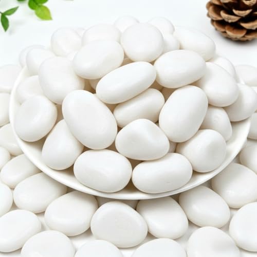 Mengdewei 12lbs White River Pebbles for Landscaping 2-3 Inch Polished River Rocks for Garden Dcor Decorative Rocks for Plants Planters Vase Fillers Aquarium Outdoor Walkways & Crafting