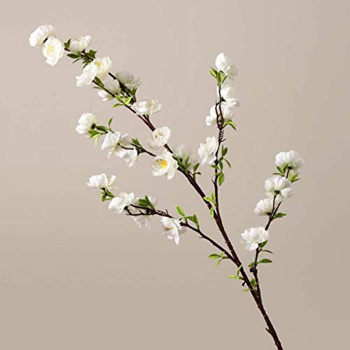 ̉ԁ@ԁ@{@CeA@@tFCNt[@A@@v[g@̓@蕨@JXj@@Ȃԁ@@1{