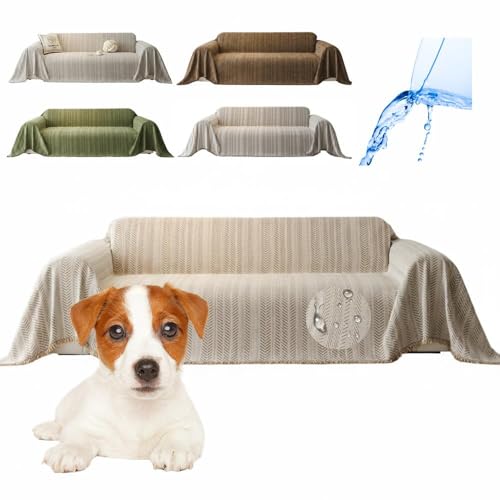 Lifetips WbNEbZEeA (Jack Russell Terrier) \t@[Jo[ k  􂦂 h }`Jo[ 2l| 3l| It IȂ ~ Eh~ LΉ lGʗp ix[Wj i130