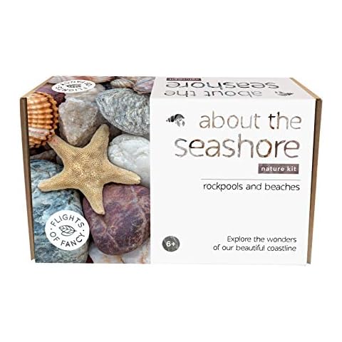 Flights of Fancy 85801 Seashore Nature Kit, Brown, White Cover
