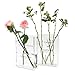 ASSRECT 2 Stücke Book Vase, Klare Buchvase, Blumenvase Buchform, Acryl-Büchervase Transparente Vase für Blumen Ästhetische Dekoration, Tulpenvase für Blumen Schlafzimmer Tischdeko Wohnzimmer Büro ASSRECT 2 günstig Kaufen-ASSRECT 2 Stücke Book Vase, Klare Buchvase, Blumenvase Buchform, Acryl-Büchervase Transparente Vase für Blumen Ästhetische Dekoration, Tulpenvase für Blumen Schlafzimmer Tischdeko Wohnzimmer Büro