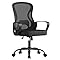 SONGMICS Ergonomic Office Chair, Mesh Swivel Desk Chair with Lumbar Support, Rocking Function, Armrests, for Home Office, Bedroom, Ink Black OBN043BH03