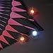 WindNSun UFO Mini Lights - Light Accessory for Kites, Black, One Size (79101)