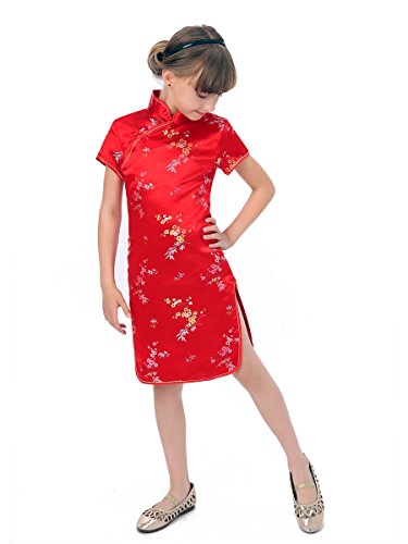 Girl's Blossom and Leaves Red Qipao Chinese Dress4