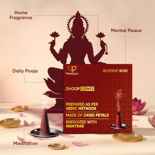 Image of Energized Dry Dhoop Cones | 40 Cones | Pack of 2 | Fragrance Rose Incence Cones | Bamboless Dhoop for Pooja Organic Dhoop Cones for Puja and Home