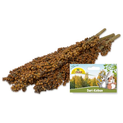 JR FARM Dari-Kolben Nager 100 g