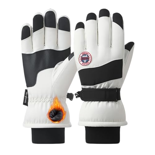 [YUMISS] XL[O[u h fB[XyOwhhhfށE~MۉNтŗ뉺20gz ʋC  ~ ^b`plΉ hH Xm[{[h oCN oR ނ AEghA(^CvA-ubN, Fre