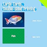 Zoom IMG-2 50 flashcard per sostantivo carte Zoom IMG-2 50 flashcard per sostantivo carte