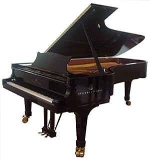 スタインウェイグランドピアノ STEINWAY Model.D (5710)
