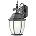 Thomas Lighting PL92297 Covington Outdoor Wall Lantern, Black