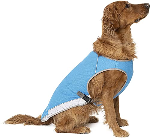Chaleco Refrigerante Perro, Chaleco refrigerante para Perros para Perros Grandes Pequeño Mediano Caminar, Subir, Deportes (Azul, XL) Cover