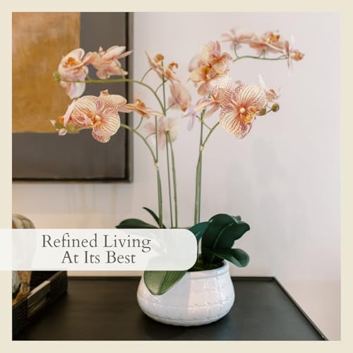 Image of CG Hunter, Faux Orange Orchid Plant, 23 in, White, Home Decor