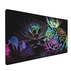 XXL01-10 Succulent Plants