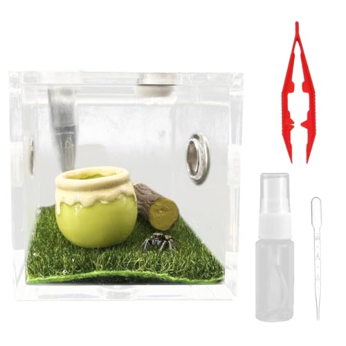 ^`P[X AN w偎P[X ANZT[ 奁E^`p ANw偐Lbg X^C2