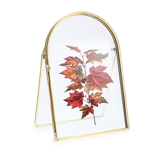 SUMTree Gold Glass Display Photo Frame Glass Picture Frame for Family Tree Mini Photo, Gallery Wall Art Work, Pressed Flower, collage, etc, 15.3 * 12.2 * 1.5cm