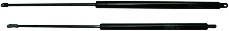 Forniture Nautiche Italiane Italian Nautical Supplies Gas Spring MM.550 20 kg.