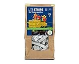 Wasserspeicher für Pflanzen LITE-Strips PP nachhaltig/wiederverwendbar (2,5 L)