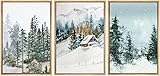 SIGNWIN 3 cuadros en lienzo enmarcado para pared,