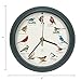 Mark Feldstein, The Original Singing Bird Clock, 25th Anniversary Edition, 8 Inch, Green