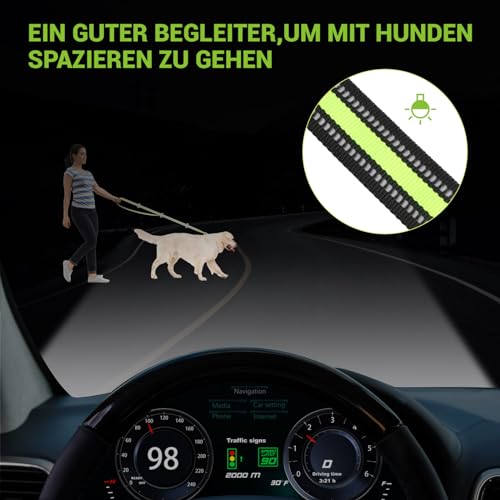 Hundeleine für große und mittelgroße Hunde - Verstellbare Doppelleine aus Nylon mit 2 Karabinerhaken und 3 Ringen - 3m x 15mm (Fluoreszierendes Grün)
