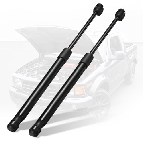 SYKRSS 6421 Rear Window Glass Lift Supports Gas Struts Compatible with 2000-2005 F-o-r-d Excursion 2000 2001 2002 2003 2004 2005 F-o-r-d Excursion Replacement 013960 PM2019EX SG301026, 2 Pcs