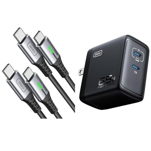 INIU 100W USB-C to USB-C Cable 6.6ft 2-Pack + 65W Charger