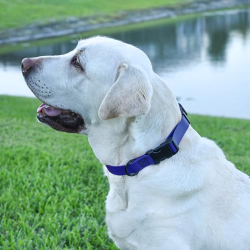 Image of Dogline Biothane Waterproof Dog Collar with Quick Release Buckle Strong Coated Nylon Webbing with Odor- Proof for Easy Care Easy to Clean Fits Small Medium or Large Dogs, Royal Blue 1 inch W 15-23 inch L