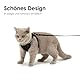 LucyBalu® Explorer Katzengeschirr mit Leine | ausbruchsicheres Katzengeschirr mit AirTag Fach | Katzen Brustgeschirr mit Katzenleine | Sicherheitsgeschirr mit Leine für Katzen | Berry Orange M/L